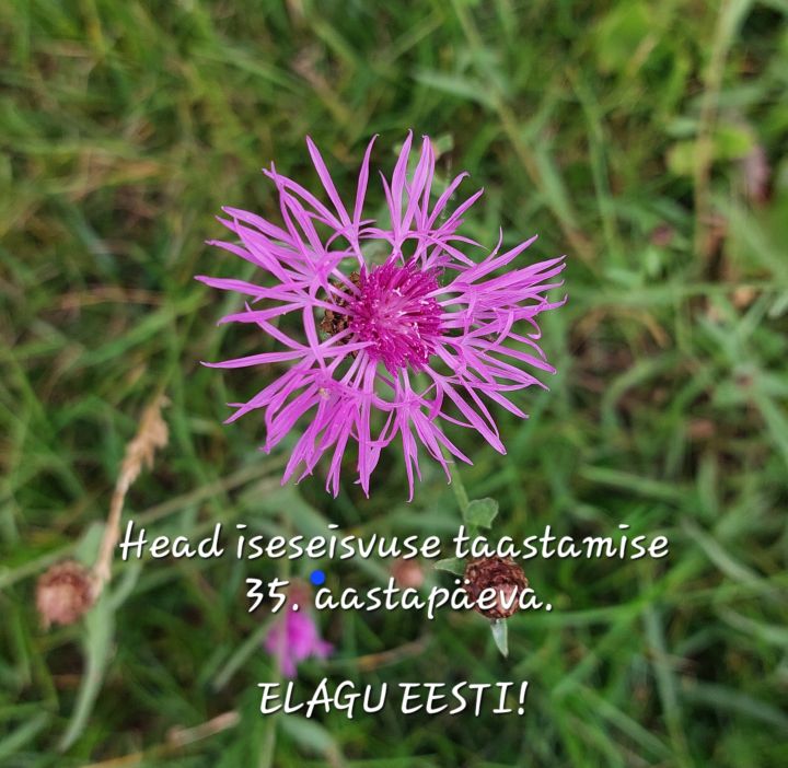 Head iseseisvuse taastamise 35. aastapäeva!