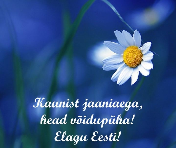 Kaunist jaaniaega, head võidupüha!